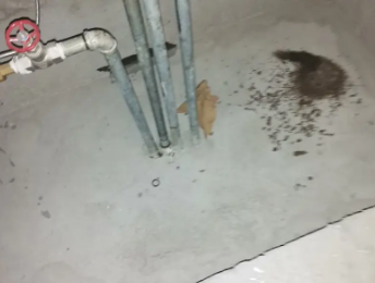 呼和浩特市卫生间测漏水价格明细